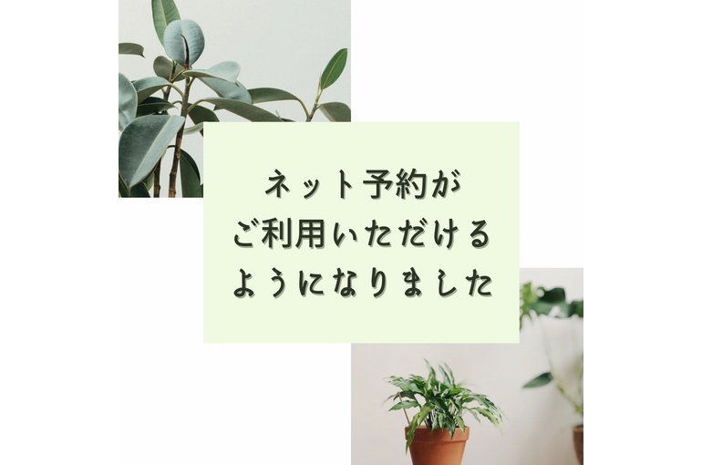 デトックス