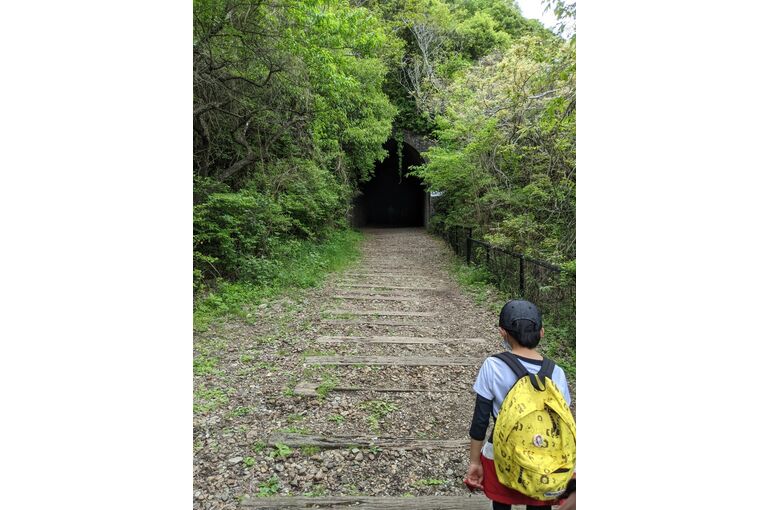 運動、ハイキング